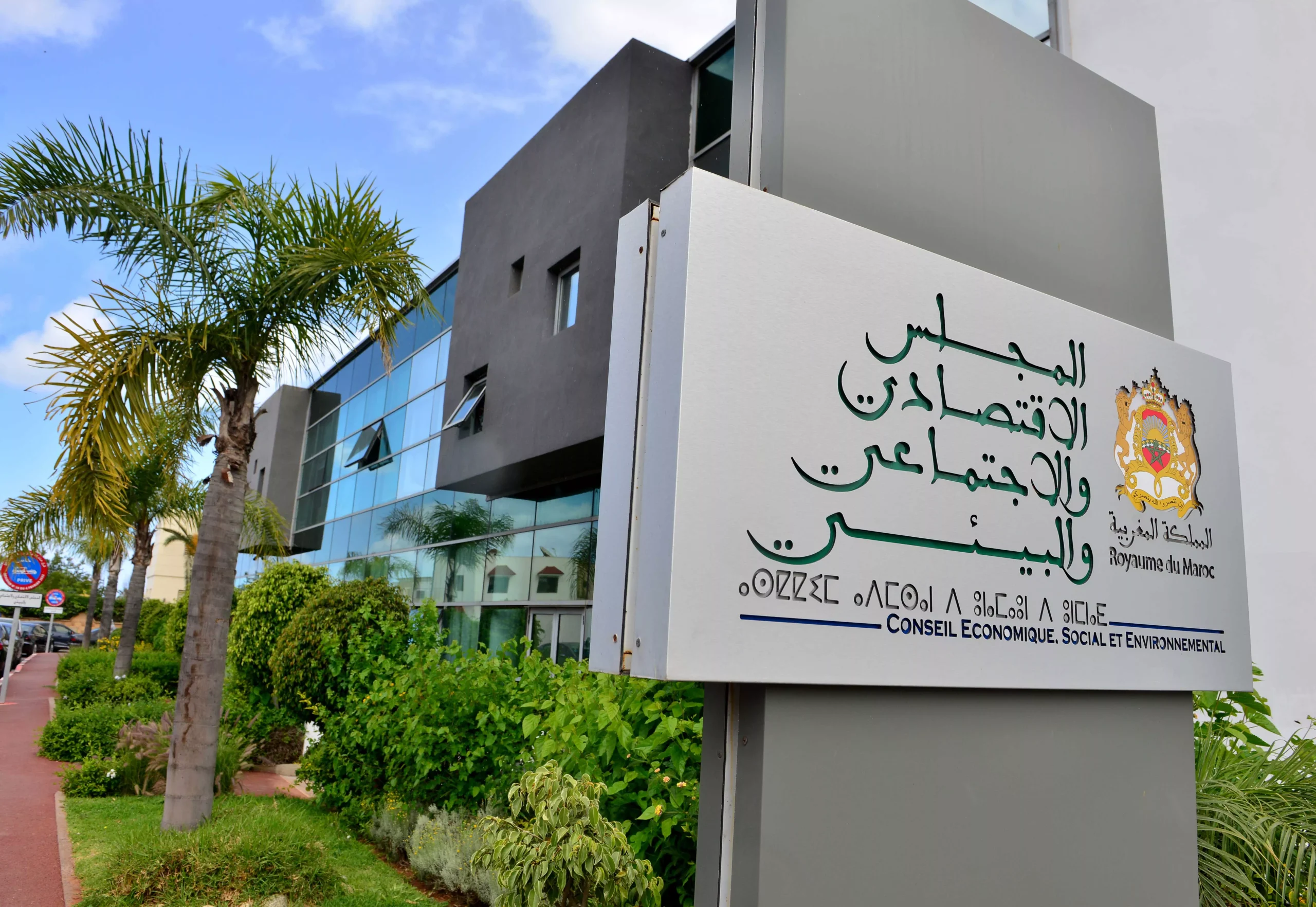 مشاركة المرأة في التنمية.. 142 ألف شخص تفاعلوا عبر منصة "أشارك"