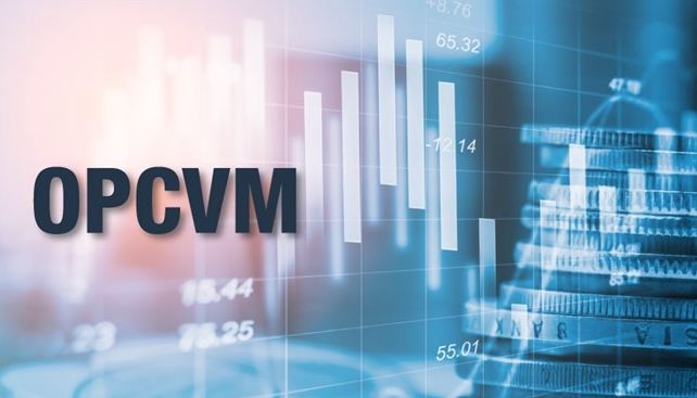 صافي الأصول OPCVM يتجاوز 808 مليار درهم بتاريخ 08 غشت