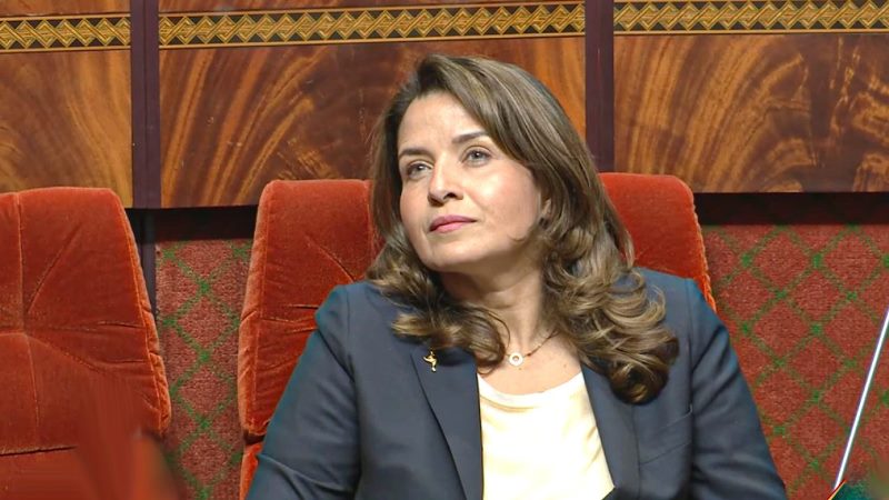 بنعلي تدعو إلى إطار إفريقي موحد لحوكمة استغلال المعادن الحرجة