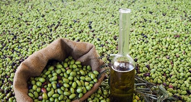 تحذيرات من اضطراب سوق الزيتون بسبب الزيوت المغشوشة