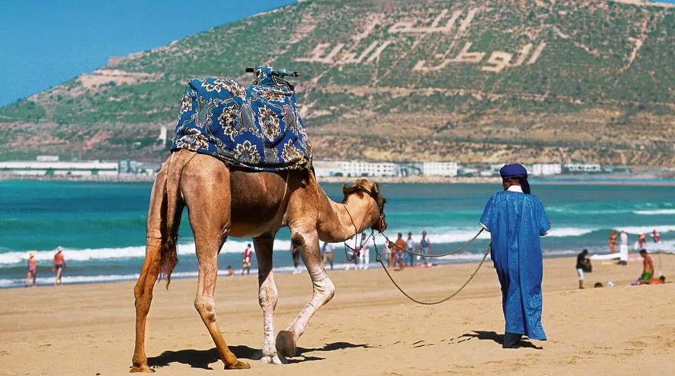 عمور توضح أسباب غلاء السياحة الصيفية وتطرح خارطة إصلاحات