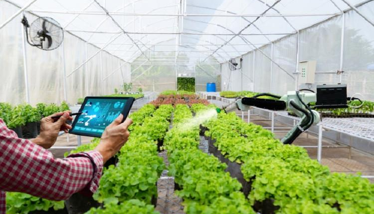 الفلاحة الذكية.. أمل المغرب في زمن الجفاف والتقلبات المناخية