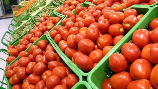 المغرب يرسخ موقعه كمصدر رئيسي للطماطم نحو إسبانيا