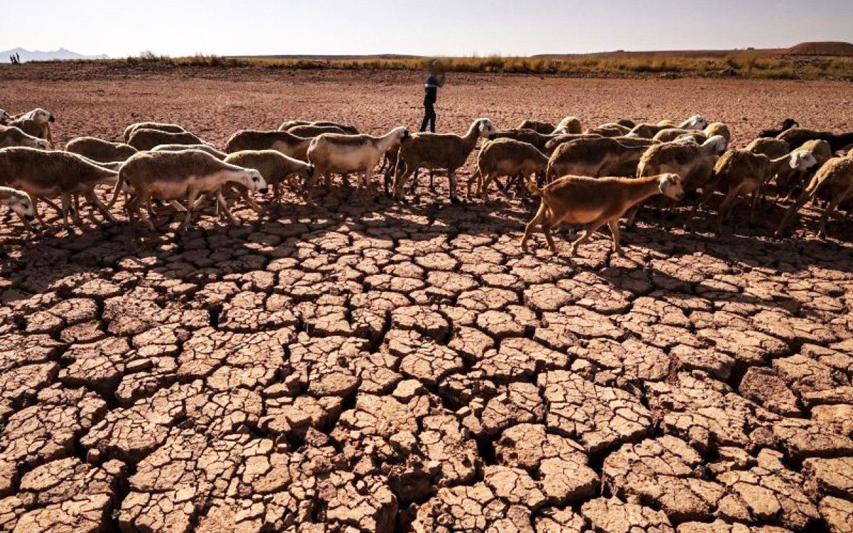 مع تراجع حجم المياه السطحية.. 5 آثار سلبية خلفها الجفاف بالمغرب