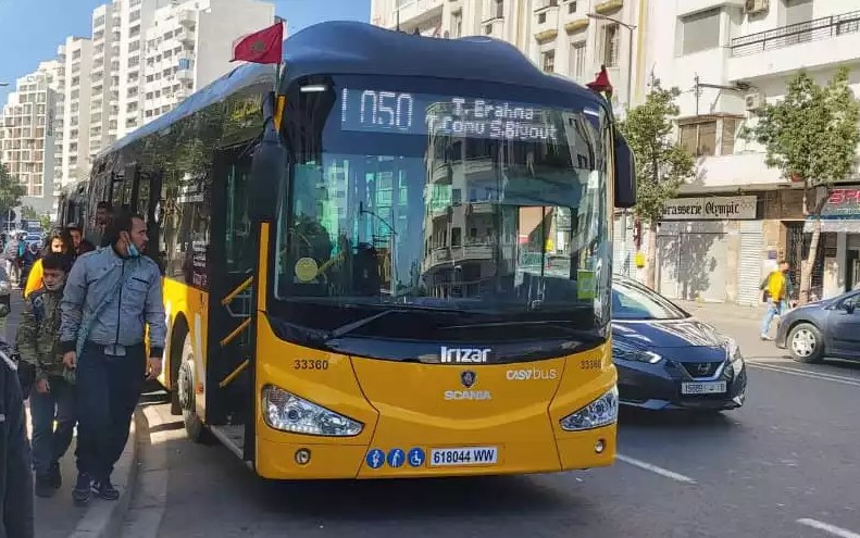 يهم البيضاويين: "ألزا" تعزز خطوطها في اتجاه الشواطئ