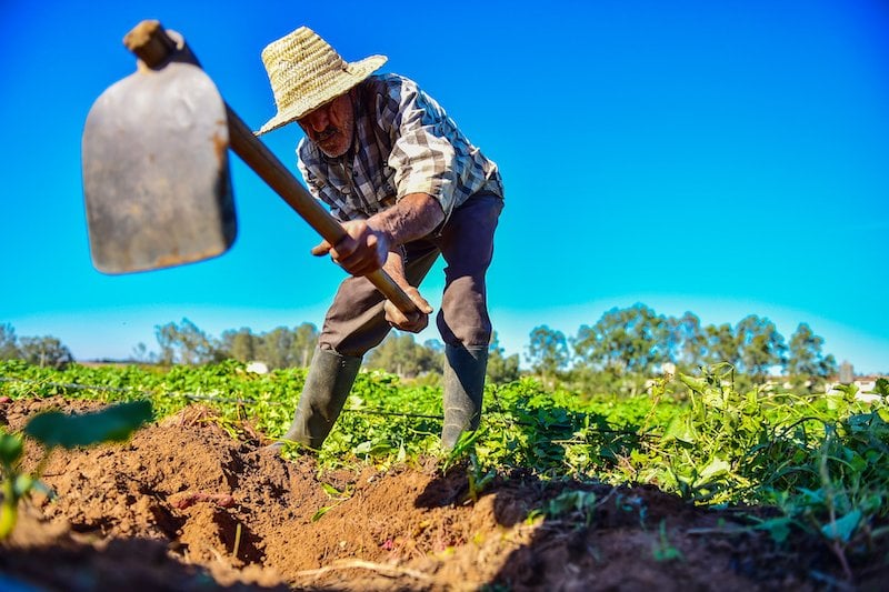أمطار تنعش انطلاقة الموسم الفلاحي وتحذيرات من الإفراط في التفاؤل