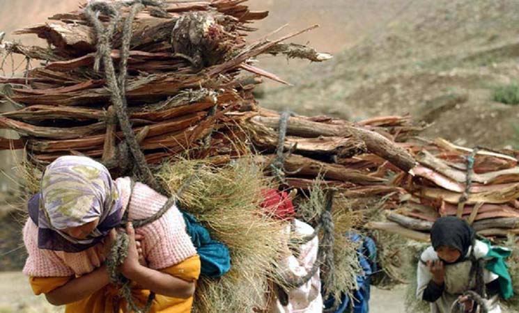 خاص بالنساء القرويات... بنك المغرب يطلق مشروعا لإعداد سياسة خاصة بالتمكين الاقتصادي