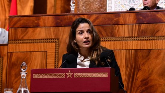 الاستفادة من الاستثمارات المنجمية تسائل بنعلي في البرلمان