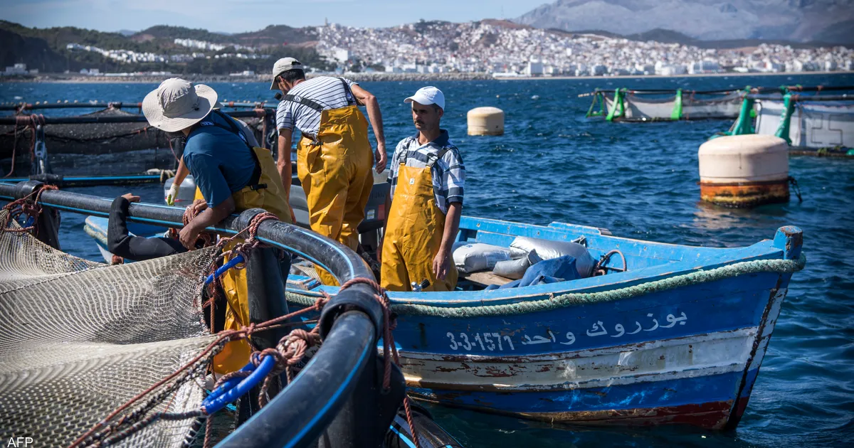 المغرب يتوج بجائزة المطابقة في الصيد البحري بالمتوسط