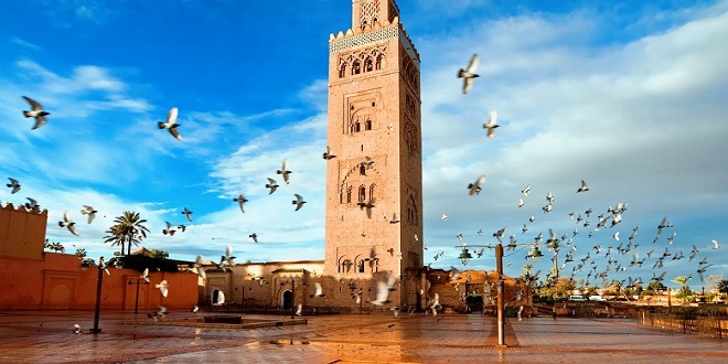 الجالية المغربية تستكشف فرص الاستثمار بمراكش