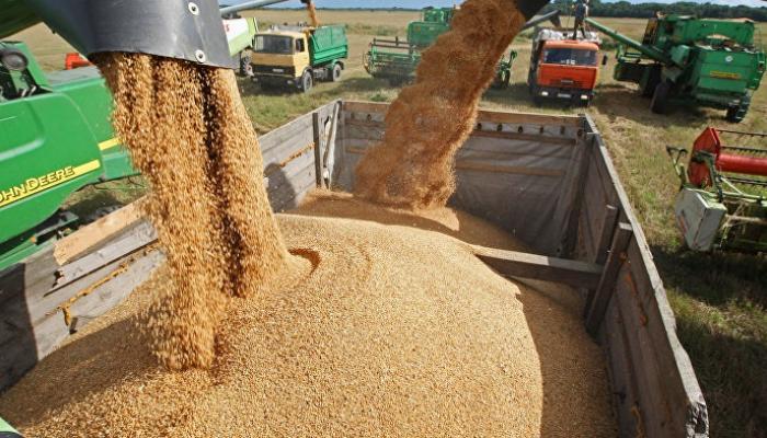 واردات الحبوب والأعلاف ترفع المبادلات بين المغرب والأرجنتين بـ48 % خلال سنة واحدة فقط