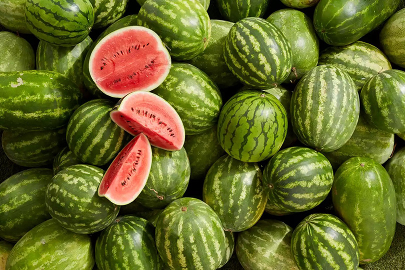 أسعار البطيخ تواصل الارتفاع رغم وفرة الإنتاج