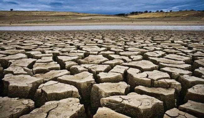 بركة يكشف حجم تراجع الفرشة المائية خلال 2022