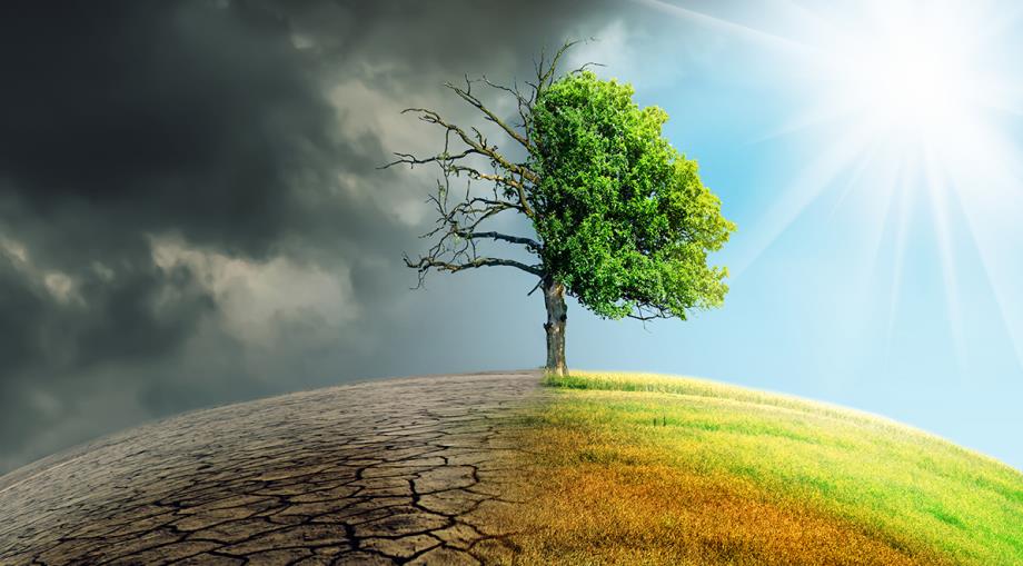 المغرب ينضم إلى المدن الرائدة عالميا في مواجهة التغير المناخي