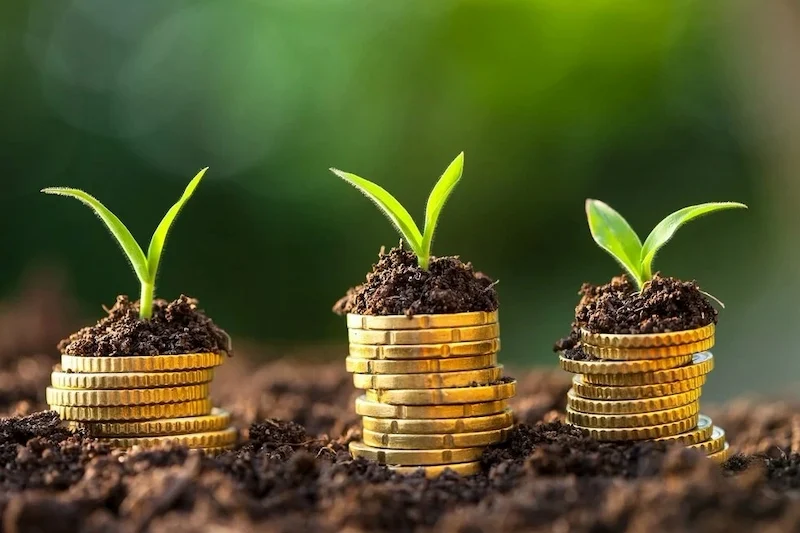 التمويل المناخي في المغرب بين طموح الدولة وتردد القطاع الخاص