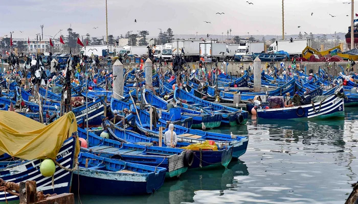 مفرغات الصيد البحري تتراجع بميناء طنجة بـ 29 % متم اكتوبر الماضي