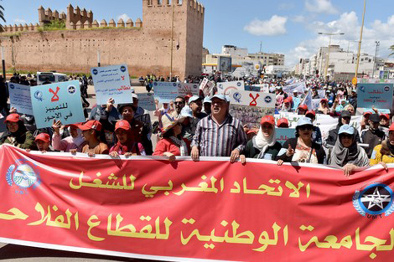 الذراع النقابي لـ"بيجيدي" يحتج على وزارة الفلاحة لإقصائه من الحوار القطاعي