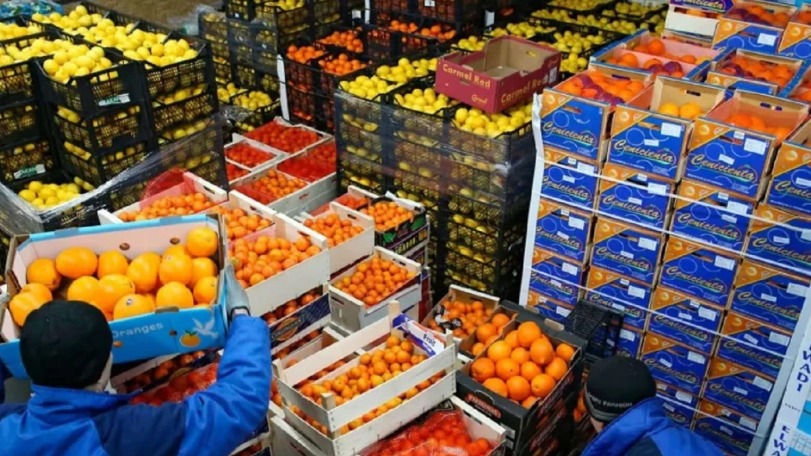 المغرب يستورد 115 مليون دولار من المنتجات الفلاحية التونسية