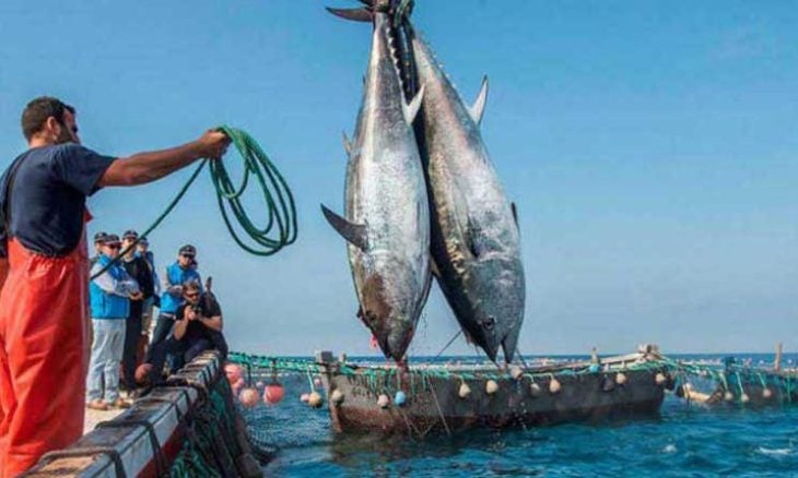 أوروبا تعمل على اتفاقية صيد جديدة مع المغرب