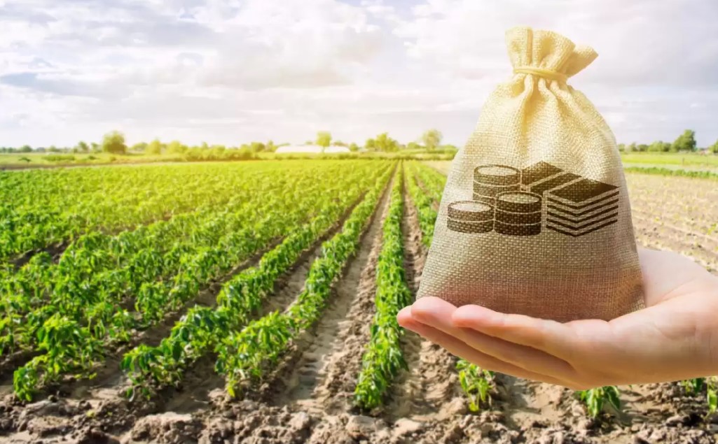 استثمارات وكالة التنمية الفلاحية تتجاوز 9.7 ملايير في 2023