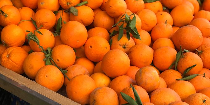 المغرب يعزز حضوره الفلاحي في روسيا بارتفاع لافت لصادرات الماندرين