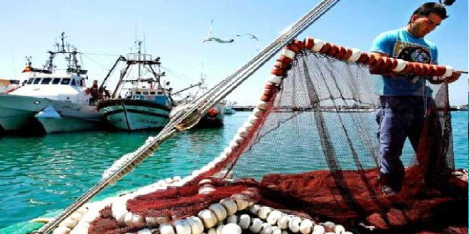 إجراءات جديدة لتحصين استغلال الأسماك السطحية الصغيرة
