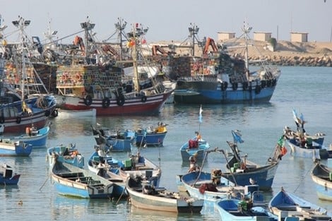 حصيلة مفرغات الصيد الساحلي والتقليدي تقفز إلى 970 مليارا